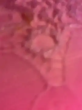 ThICk JuIcEy online show from January 2026 08:42:01 AM