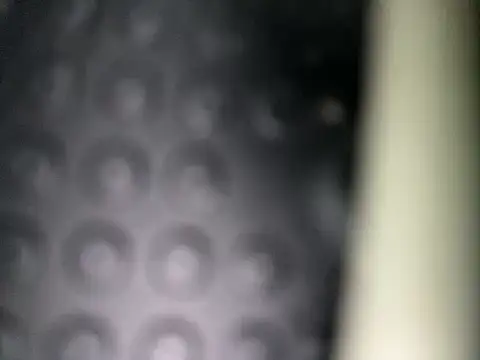 Danii0790 online show from November 2025 06:39:01 AM