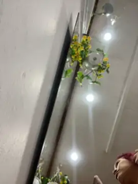 ari sexy1 online show from June 2026 11:32:02 PM