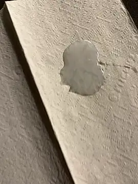 alieno27 online show from December 2024 10:02:02 PM