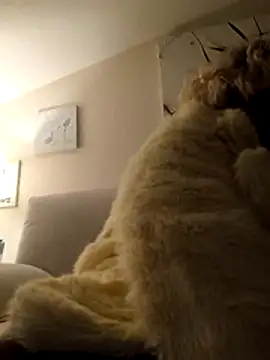 Merilulla online show from November 2025 01:20:01 AM