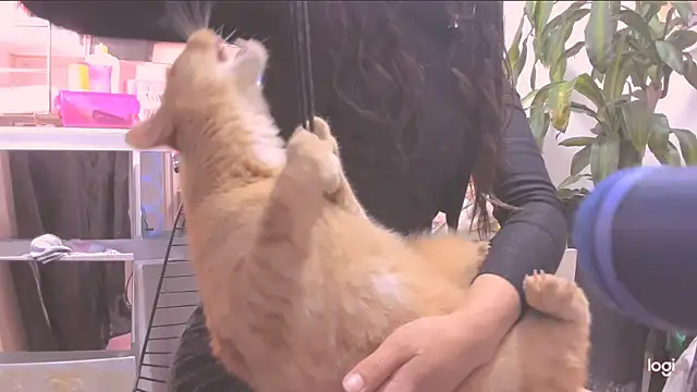 MYFAVOURITESTRAGER online show from March 2026 08:46:02 PM