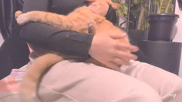 MYFAVOURITESTRAGER online show from November 2025 02:54:02 AM