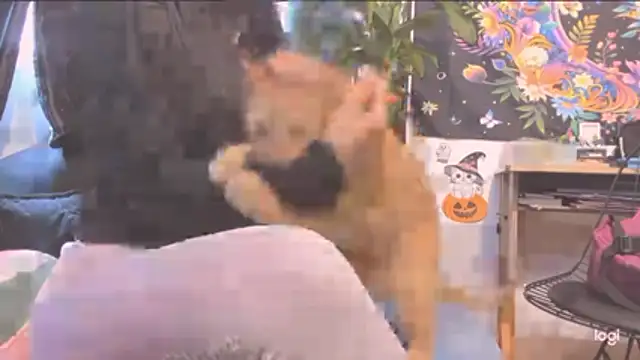 MYFAVOURITESTRAGER online show from October 2025 04:04:02 PM