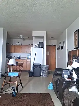 blkhereforall online show from March 2026 04:51:02 PM