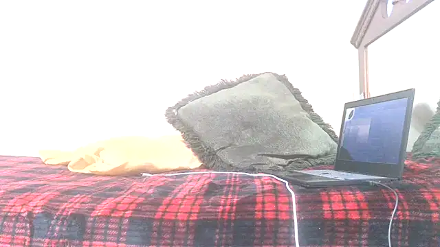 Snapshot of blkhereforall chatting on October 2025 09:26:02 PM blkhereforall online show from October 2025 09:26:02 PM