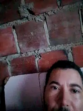 w31 online show from September 2025 03:38:02 AM