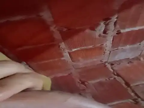 w31 online show from November 2025 12:53:02 AM