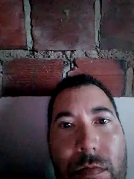 w31 online show from September 2025 03:38:01 AM