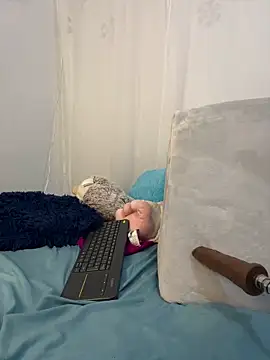 Aleja DANS online show from March 2025 04:13:01 AM
