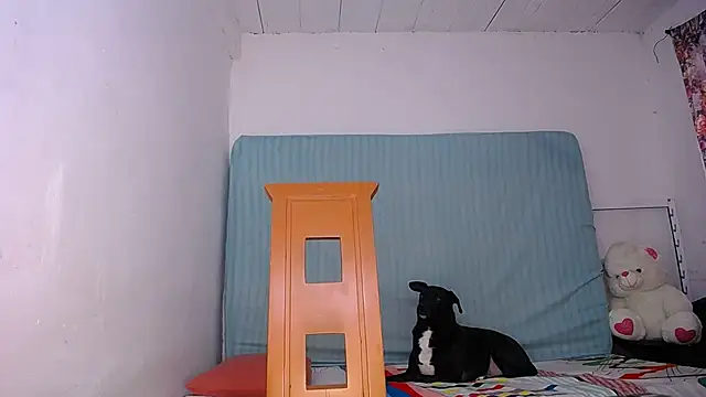 yselahot online show from November 2025 03:27:02 PM