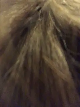  Sweet Love  online show from March 2026 01:02:01 PM