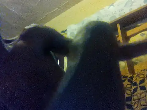 LookingLover34 online show from December 2025 11:37:02 PM