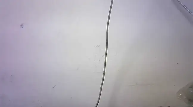 Snapshot of mrose8080 chatting on March 2025 02:08:02 PM mrose8080 online show from March 2025 02:08:02 PM