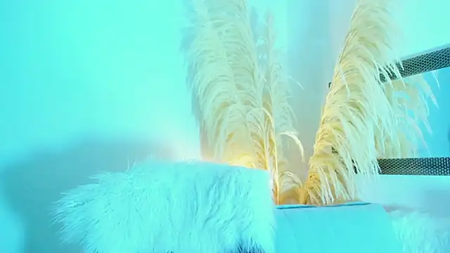 allison 01stone online show from November 2025 08:02:01 PM