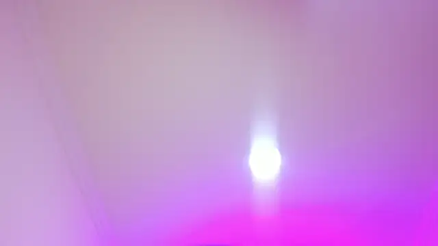 nalalye cruzz  online show from April 2026 03:02:02 AM