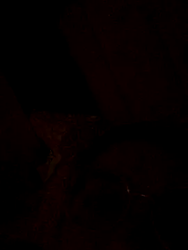 nalalye cruzz  online show from September 2025 02:29:02 AM