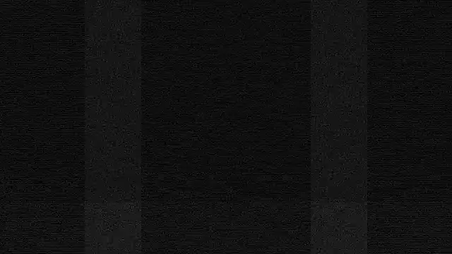 terrybare online show from October 2025 02:03:02 PM