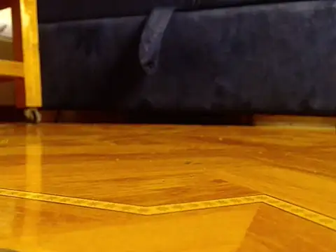 alphaswitchard online show from March 2026 04:06:02 PM