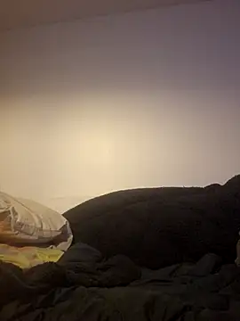 Wisie Cutie online show from January 2026 11:19:02 PM