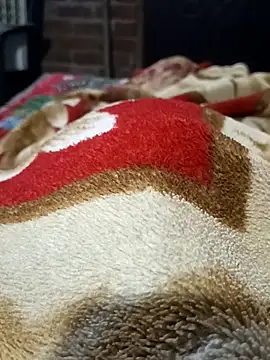 Play boy11 online show from November 2025 10:13:02 PM