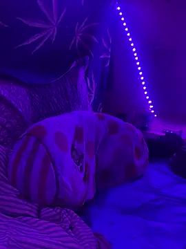 bugboy online show from March 2026 03:56:01 AM