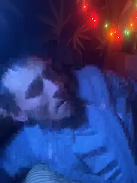 Snapshot of bugboy chatting on February 2026 06:00:02 AM bugboy online show from February 2026 06:00:02 AM