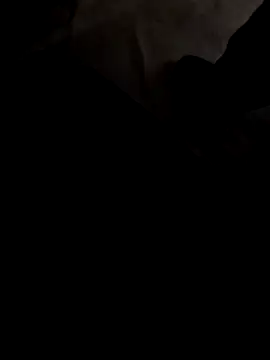 Meridian Inhaler online show from March 2025 06:39:01 AM