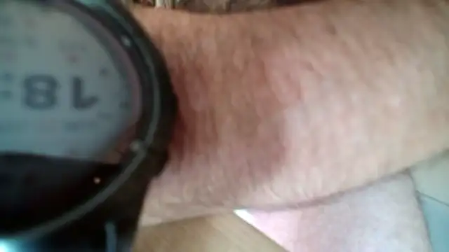 Dan3106x online show from June 2026 04:37:02 PM