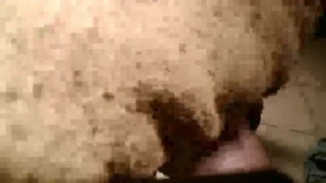 Dan3106x online show from March 2026 07:14:02 PM