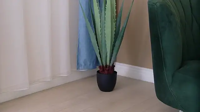 Bailey Rush online show from November 2025 03:34:01 PM