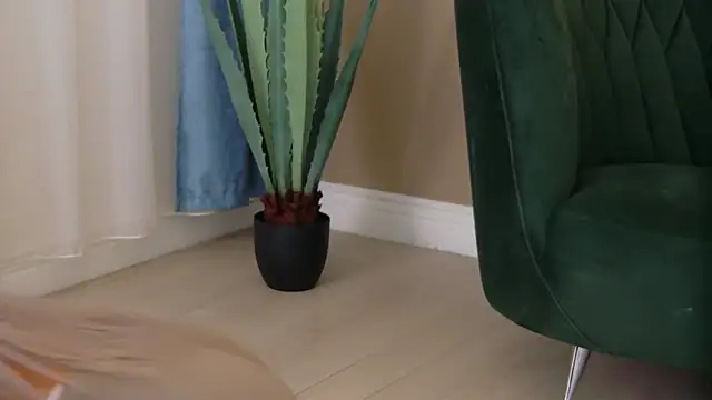 Bailey Rush online show from December 2025 03:54:01 PM