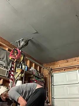 Midwestalpha online show from March 2026 07:37:01 AM