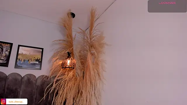 cute  cherry  online show from April 2026 08:25:02 PM