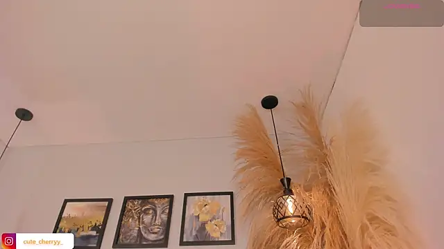 cute  cherry  online show from July 2026 02:05:17 AM
