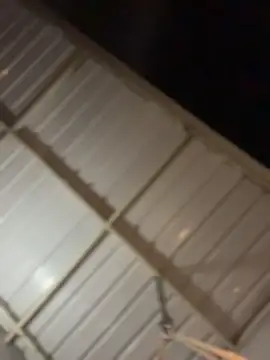 ZahaRoseee online show from March 2026 03:49:01 AM