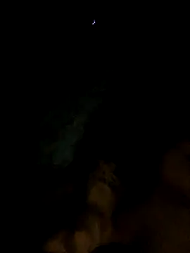 crisconst online show from February 2025 02:28:02 AM