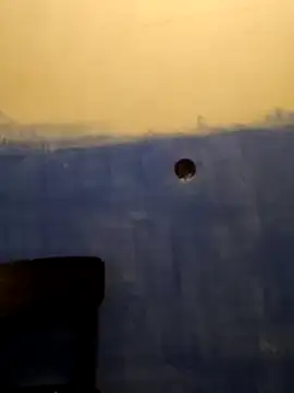 kb516 online show from November 2025 12:11:02 AM