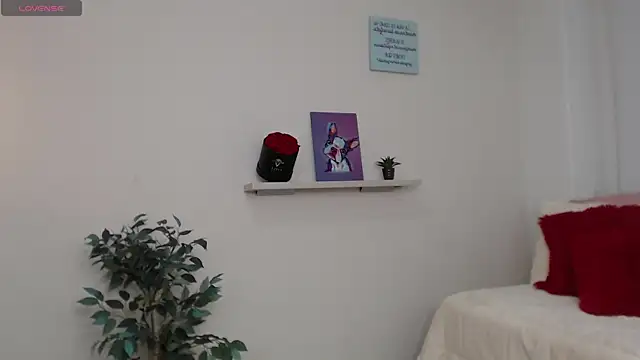 sofia perez    online show from October 2025 08:01:01 PM