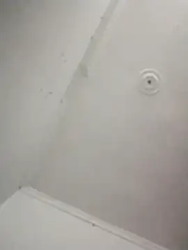 kevin613603 online show from November 2025 05:12:01 AM