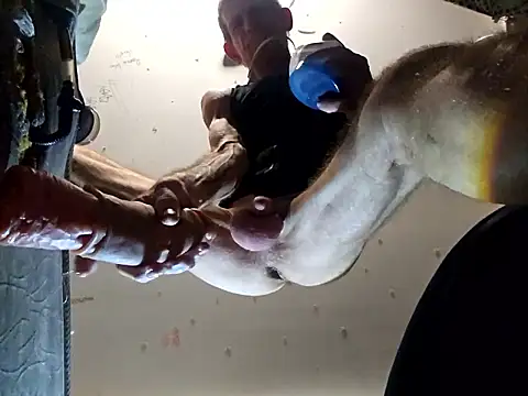 Snapshot of Daza67 chatting on February 2026 08:36:01 AM Daza67 online show from February 2026 08:36:01 AM