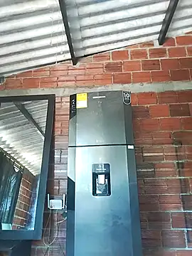 Yelly online show from March 2026 03:39:01 PM