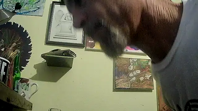 Snapshot of druetrue chatting on November 2025 10:03:02 PM druetrue online show from November 2025 10:03:02 PM