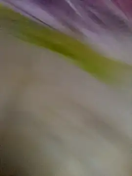 will1980 online show from January 2026 12:25:01 AM