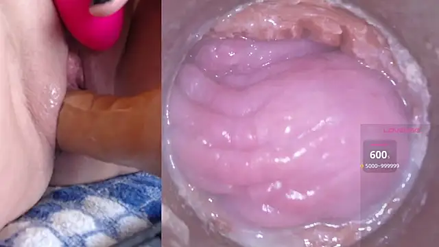 danigirl866 online show from March 2025 06:12:01 PM