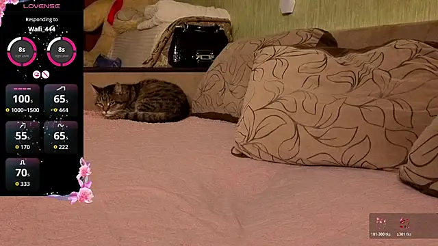 Miss Flexi fit online show from April 2026 08:37:02 PM