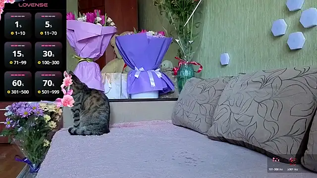 Miss Flexi fit online show from March 2026 12:08:02 PM