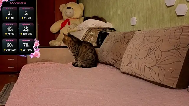 Miss Flexi fit online show from April 2026 04:57:02 PM