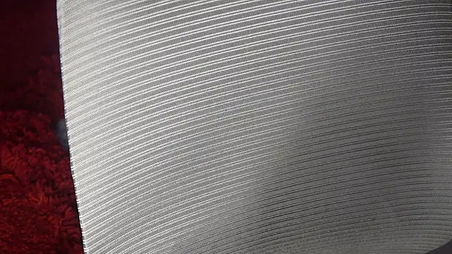 Snapshot of -AyeshaSinghania- chatting on March 2026 09:13:01 AM -AyeshaSinghania- online show from March 2026 09:13:01 AM