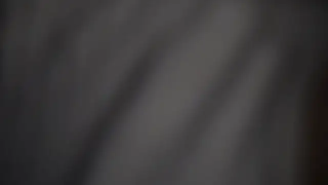 -AyeshaSinghania- online show from February 2026 01:30:01 PM